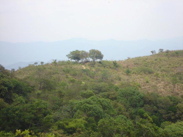Cerro de los cimientos
